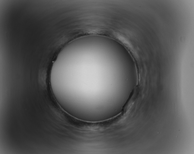 X0000088050201200705251329
