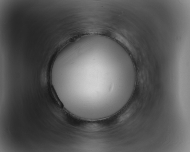 X0000088050203200705251329
