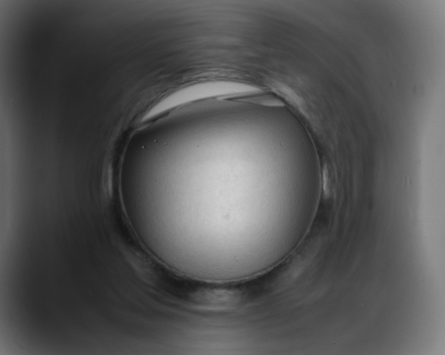 X0000088050205200705251329