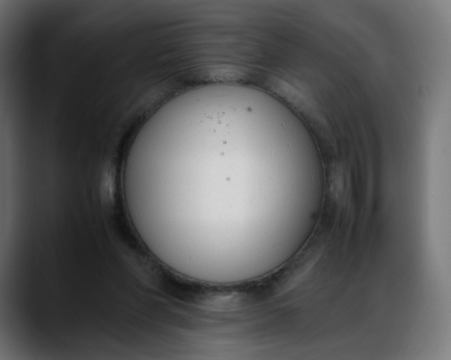 X0000088050206200705251329