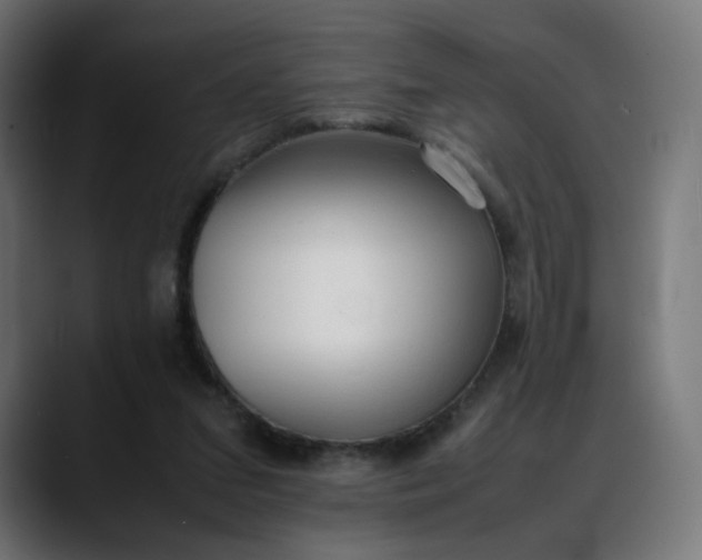 X0000088050207200705251329