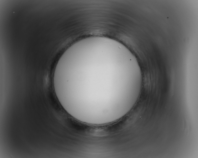 X0000088050208200705251329