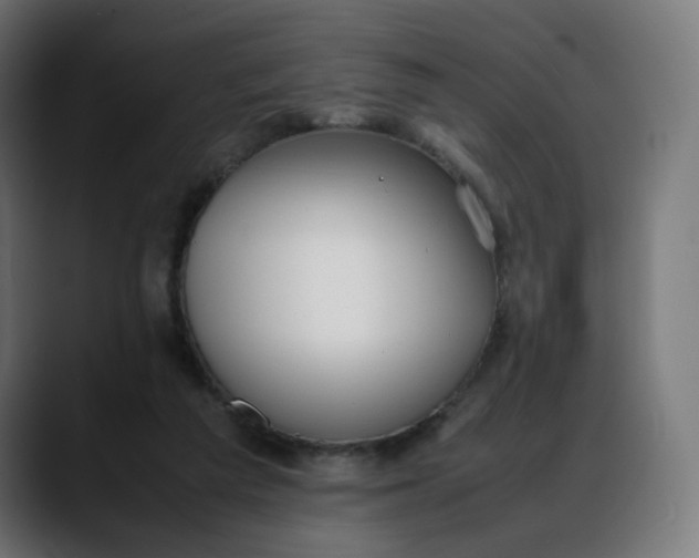 X0000088050209200705251329