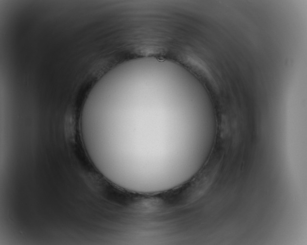 X0000088050210200705251329