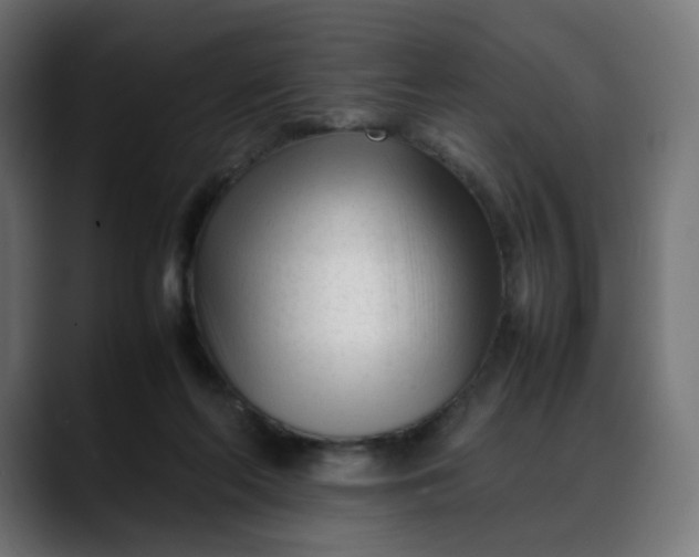 X0000088050214200705251329