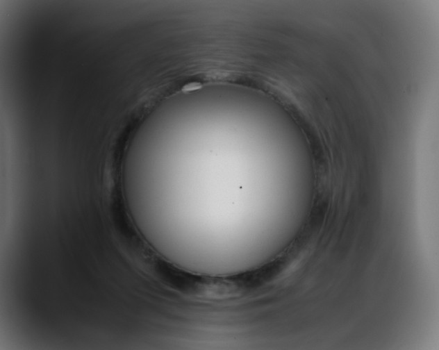 X0000088050215200705251329