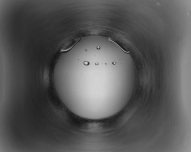 X0000088050216200705251329