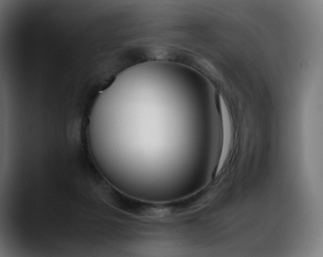 X0000088050217200705251329