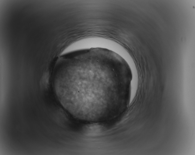 X0000088050219200705251329