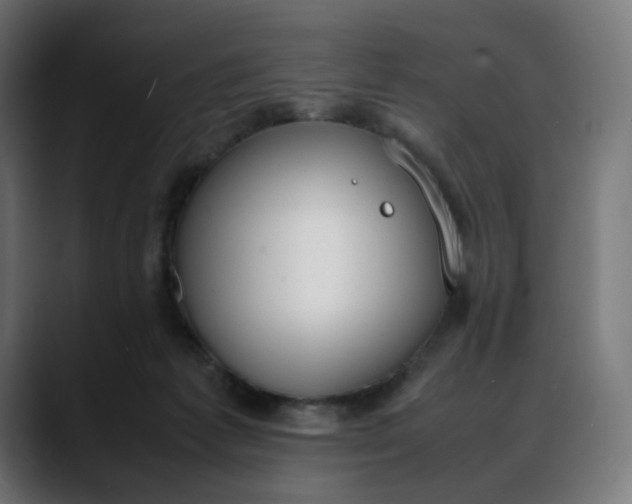 X0000088050221200705251329