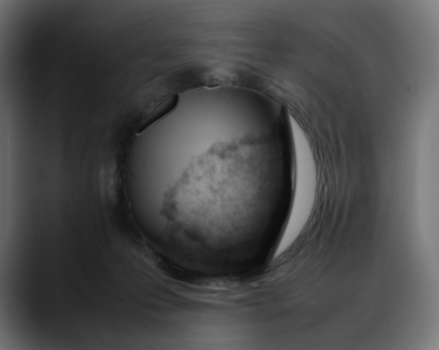 X0000088050223200705251329