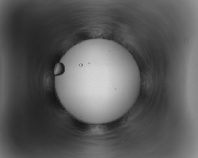 X0000088050226200705251329