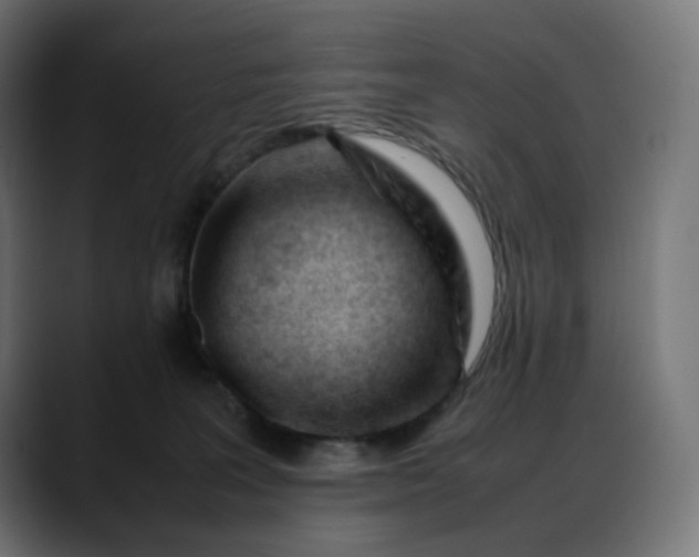 X0000088050227200705251329