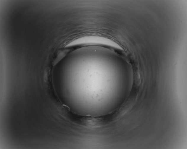 X0000088050229200705251329
