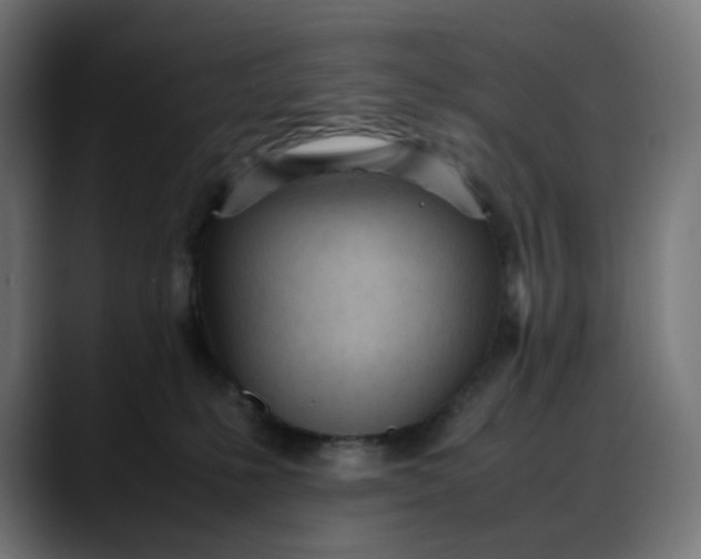 X0000088050231200705251329