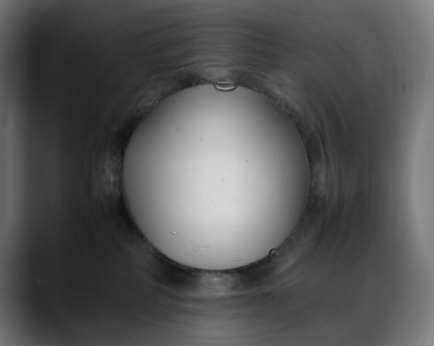 X0000088050234200705251329