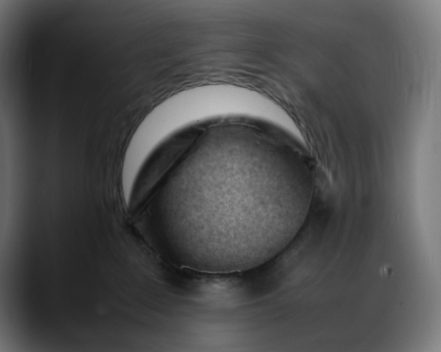 X0000088050235200705251329