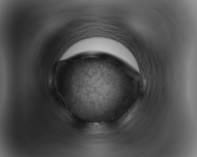 X0000088050239200705251328
