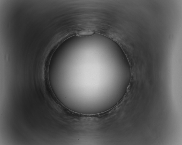 X0000088050242200705251328
