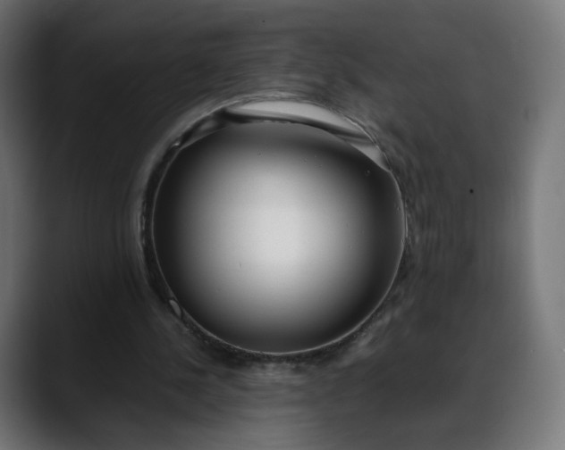 X0000088050244200705251328