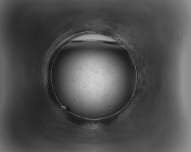 X0000088050247200705251328