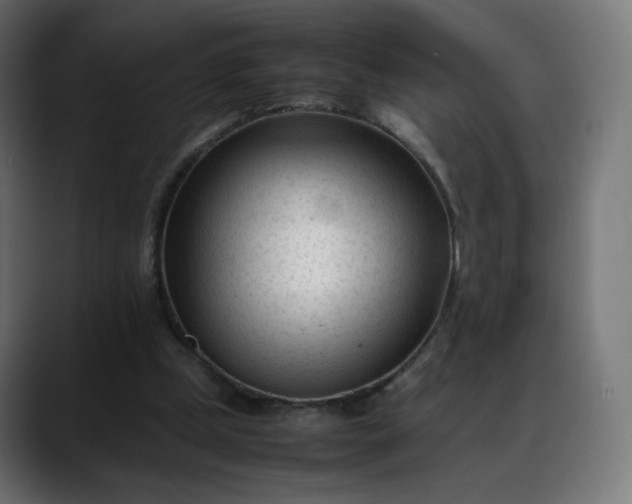 X0000088050249200705251328