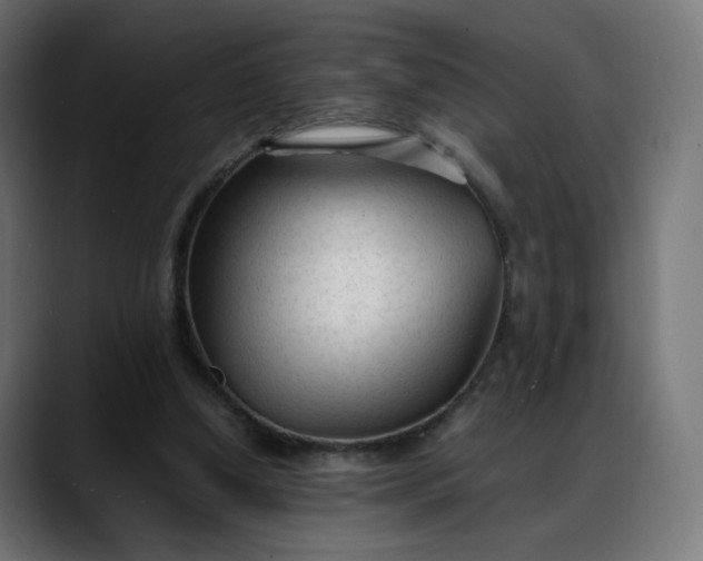 X0000088050250200705251328