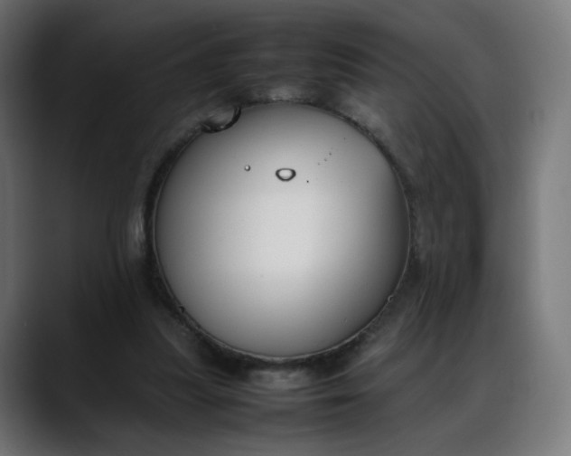 X0000088050251200705251328