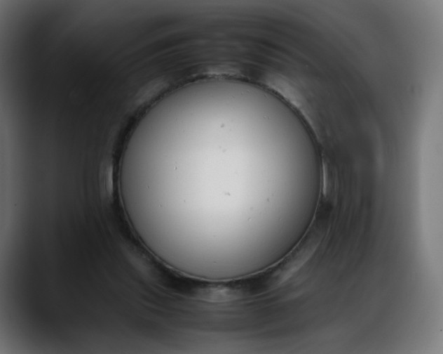X0000088050253200705251328