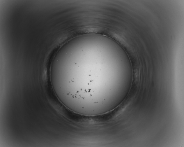 X0000088050254200705251328
