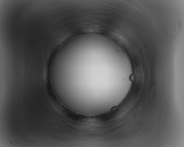 X0000088050255200705251328