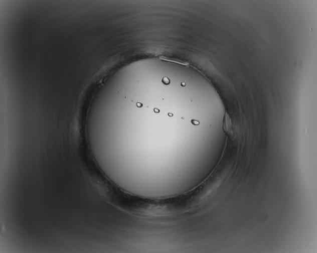 X0000088050256200705251328