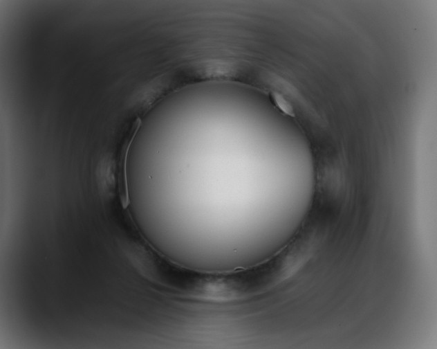 X0000088050264200705251328