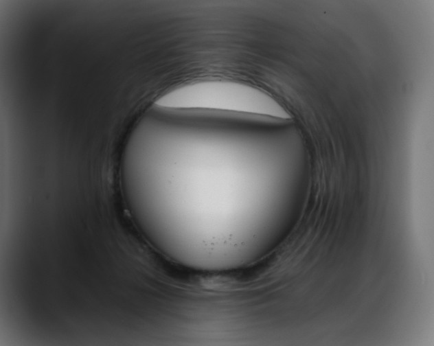 X0000088050268200705251328