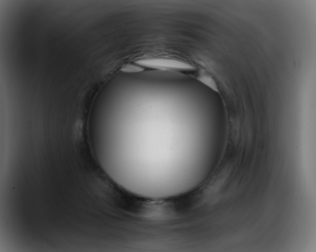 X0000088050269200705251328