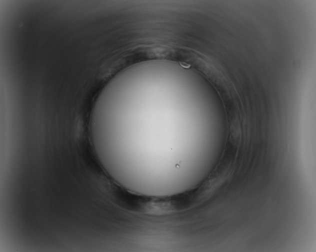 X0000088050270200705251328