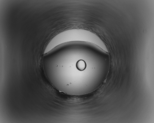X0000088050276200705251328