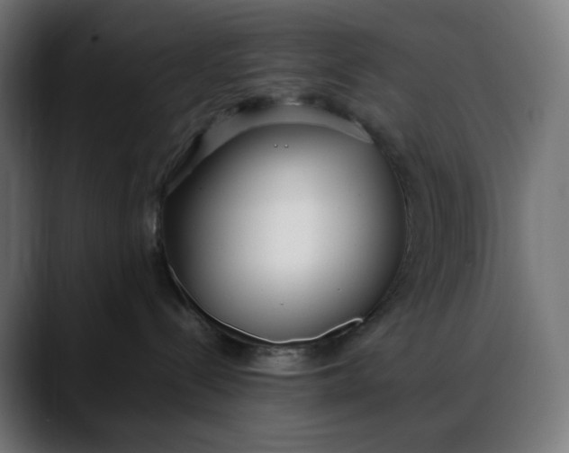 X0000088050288200705251328