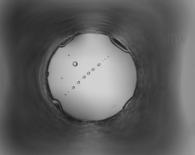 X0000088050289200705251328