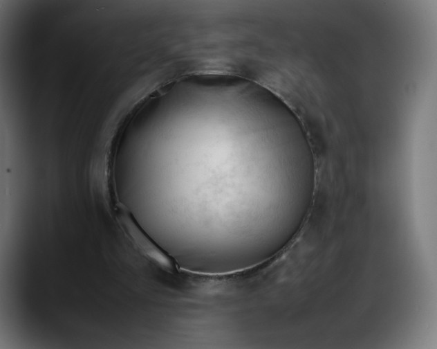 X0000088050293200705251328