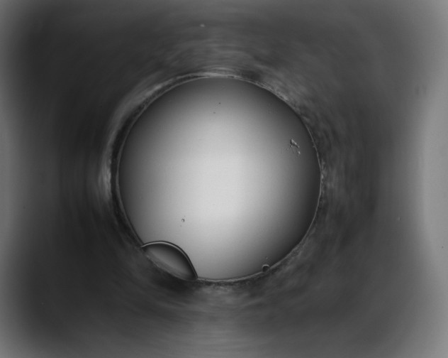 X0000088050294200705251328