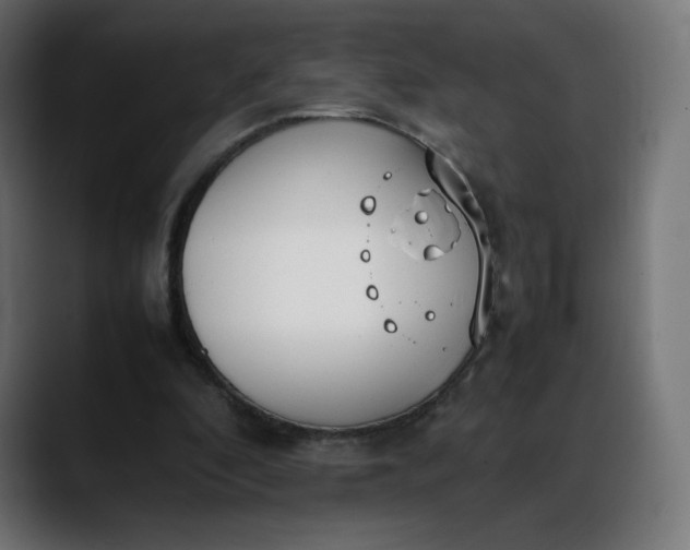 X0000088050296200705251328
