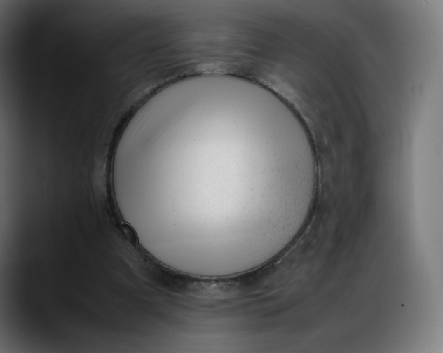 X0000088050297200705251328