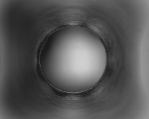 X0000088050299200705251328