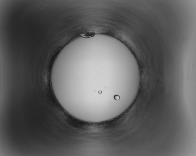 X0000088050305200705251328