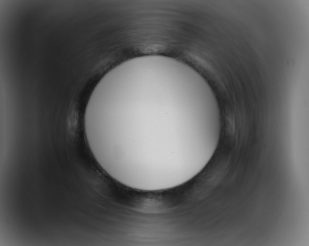 X0000088050308200705251328