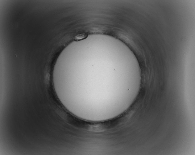 X0000088050309200705251328