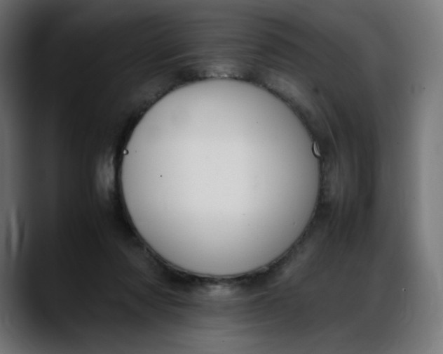 X0000088050310200705251328