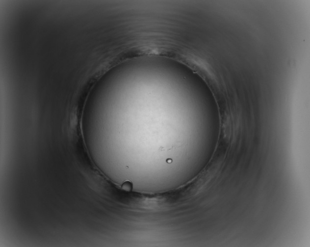 X0000088050314200705251327