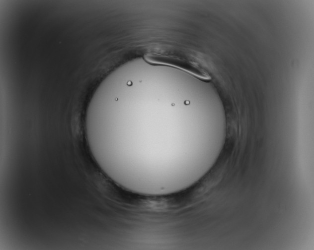 X0000088050317200705251327